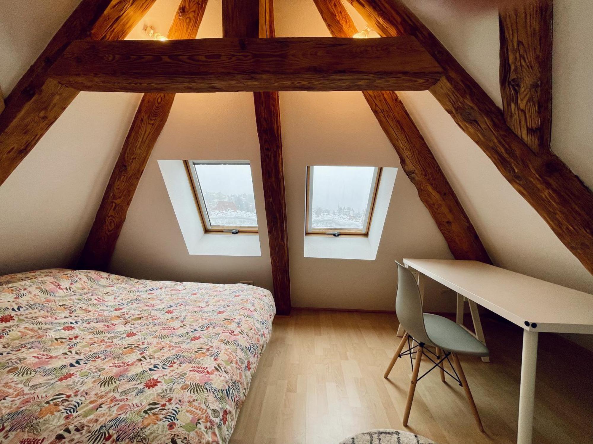 Duplex + Parking Gratuit Facile Appartement Sainte-Suzanne  Buitenkant foto