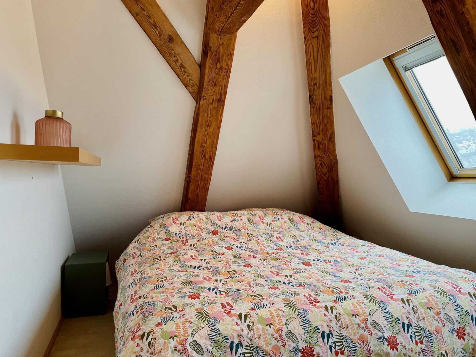 Duplex + Parking Gratuit Facile Appartement Sainte-Suzanne  Buitenkant foto